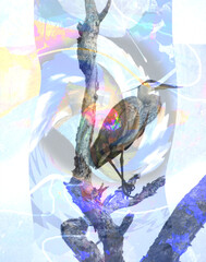 Abstract of a great blue heron 