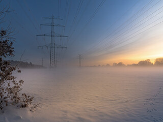 Stromm&auml;ste auf der Weide versinken im Nebel eines Winterabends