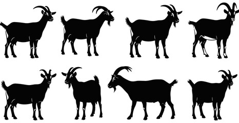 Fototapeta premium Goat Silhouette Set – 8 Black Profiles in Varied Poses and Orientations