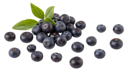Fresh Acai Berries Falling and Scattered, Organic Superfood Fruit Isolated on White Background, Healthy Eating
