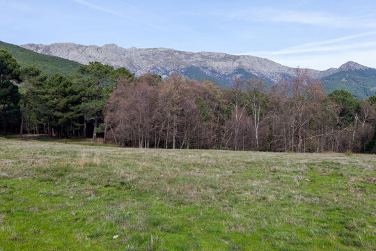Mountains of the Sierra de Gredos in Casavieja