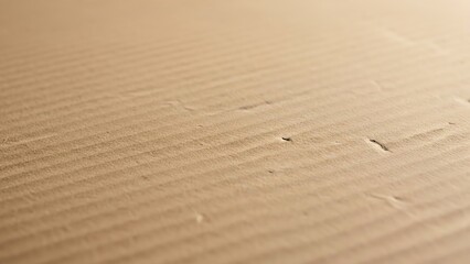 Recycled Cardboard Packaging Texture Natural