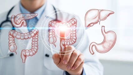Doctor interacts with holographic human digestive system organs for medical diagnosis and health care advancements.