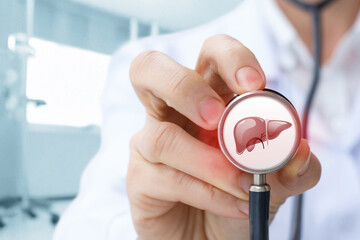 Doctor examines liver health.