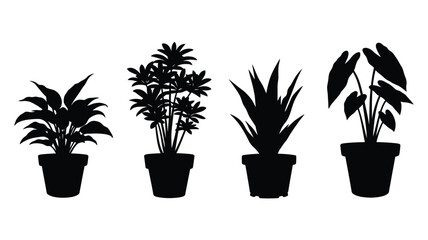 Obraz premium Four potted plants in black silhouette on transparent background