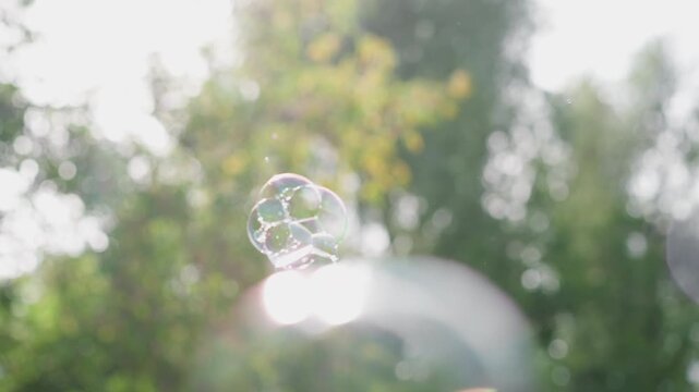 Iridescent bubbles floating over green trees, soft sunlight filtering through leaves, delicate soap spheres reflect rainbow colors, slow drift with shallow depth of field and bokeh background, summer