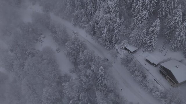Misty Winter Landscape in the Alps