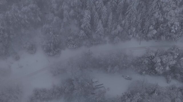 Misty Winter Landscape in the Alps