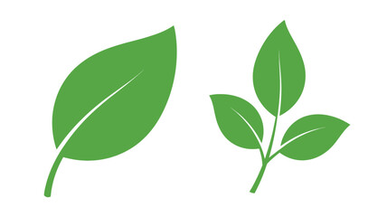 Obraz premium Green leaf illustrations with varying vein structures on transparent background silhouette