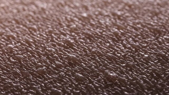 HD video of extreme macro human leg skin texture after depilation showing hair removal result with visible micro surface details