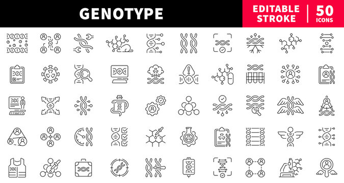 Genotype editable line icons set. dna and genetics outline pack