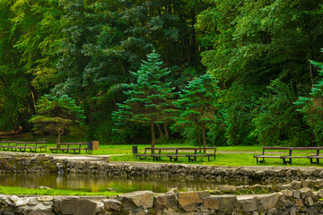 natural park scene evergreen trees landscaped design place with pond water and benches without people