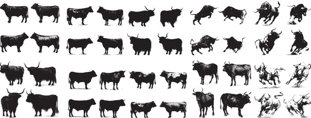 Obraz premium Diverse Cattle and Bull Silhouettes & Illustrations: Standing, Running, Charging Poses, Various Breeds Vector Art 