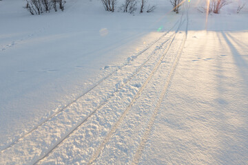 Classic skis, ski trail, ski tracks on white fresh snow, winter activities,