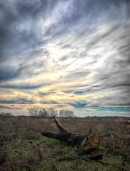 Landscape with beautiful sky
