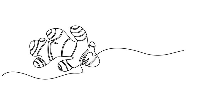 Animation of one line drawing healthy organic ginger for farm logo identity. Fresh flowering plant rhizome concept herbaceous perennial icon. Continuous line self draw animated. Full length motion.