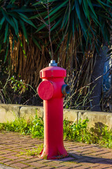 Red Fire Hydrant Stands Boldly On City Sidewalk Against Gray Wall, Creating Striking Urban Contrast