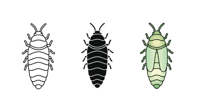 Set of three glowworm illustrations outline, silhouette and colored vector icon