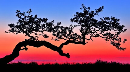 A solitary gnarled tree branch is silhouetted against a dramatic sunset sky with vibrant red and blue hues