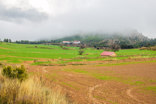 Campos de cultivo verdes y con tierra arada bajo la niebla. Paisaje de granjas en el Maestrazgo. 