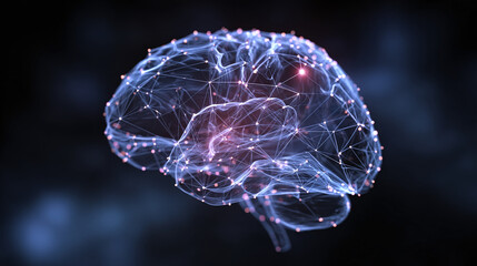 A stylized illustration of a human brain, featuring an intricate network of interconnected lines and nodes, set against a dark and hazy background.