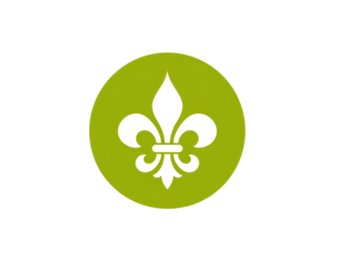 Green Fleur-de-Lis Icon 
