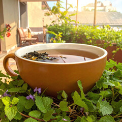 Obraz premium Enjoy a serene moment with this aromatic cup of tea set in a lush garden terrace. A beautiful metaphor for wellness, selfcare, and natural healing in a bright, outdoor setting.