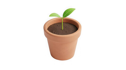 Green Seedling In Terracotta Pot On Black Background