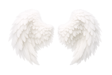Soft white angel wings on transparent background. Angel symbol. Love and romance concept.