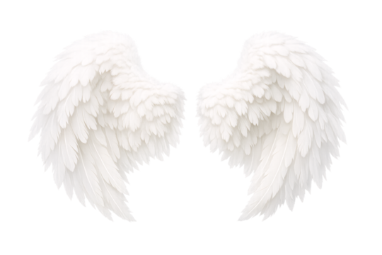 Soft white angel wings on transparent background. Angel symbol. Love and romance concept. - Powered by Adobe