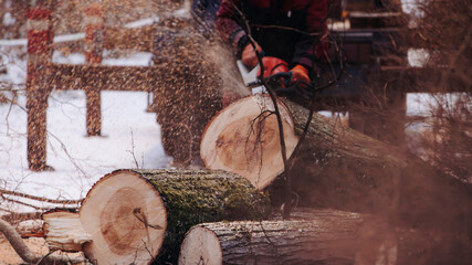 Lumberjack woodcutter with chainsaw in uniform cutting a massive tree in the winter forest, logger sawing and chopping firewood timber tree trunk on sawmill, lumberman at work, sawdust and woodchips