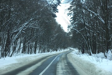 Obraz premium A snowy winter road winds through a dense forest of snow-covered trees under a clear sky