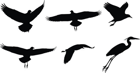 Obraz premium Flying bird silhouettes collection, soaring wildlife shapes, raven gull heron poses, black vector icons isolated on white background set
