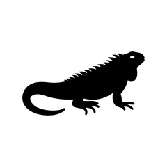 Obraz premium Silhouette of a black iguana