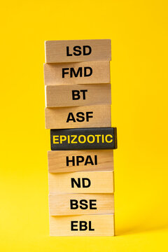 Epidemic diseases of farm animals. Symbols on the blocks. Alarming yellow background. The word EPIZOOTIC meaning an outbreak of an epidemic among animals