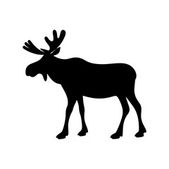 Obraz premium Silhouette of a moose