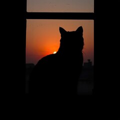 Cat Silhouette Framed by Fiery Sunset