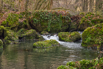 River with stones and smaller cacades - Trieb river in Triebtal valley near Plauen city in Saxony