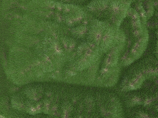 green grass texture