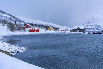 snowy landscape and frosted sea in Tromso Norway