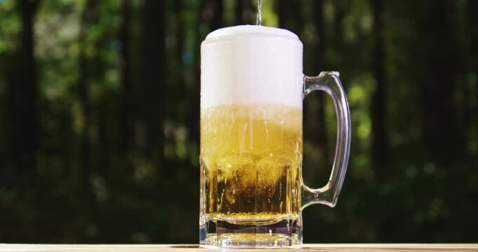 Freshly brewed craft lager bear with foam. Beer mug in summer nature. Sparkling amber ale beer with natural background. Barley malt craft beer on wooden table. Pouring fresh beer with splash.