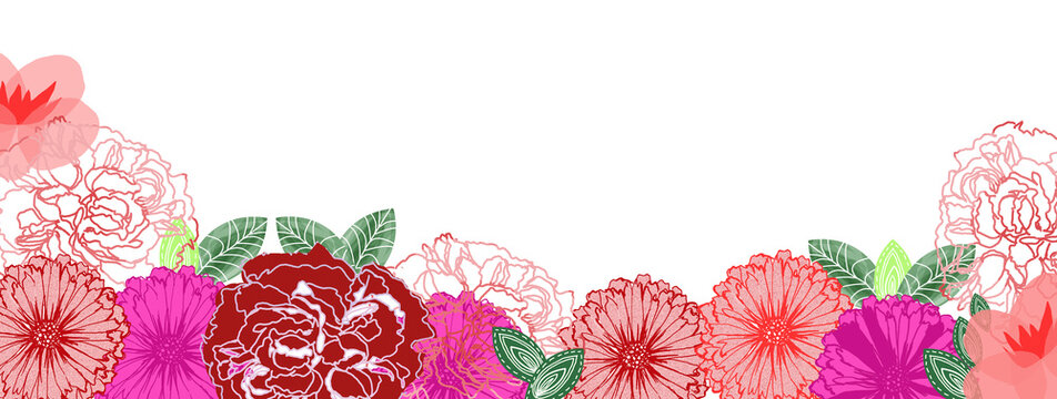 Sfondo floreale con grandi fiori rosa, rossi e foglie verdi, illustrazione isolata su sfondo bianco