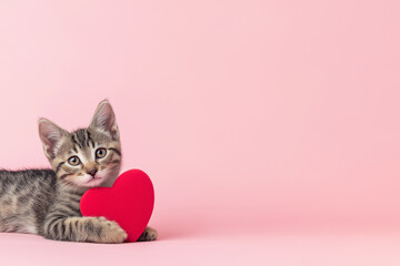 Playful tabby kitten lying on pink background, holding a red heart-shaped object, showcasing affection and cuteness in a vibrant, cheerful setting