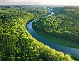 aerial view of serene river curving through lush green forest