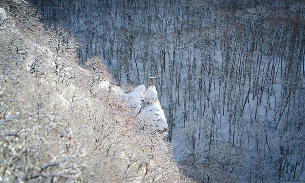Zoomed winter view of the snow-covered Moln&aacute;r Rock cliff rising above a dense forest in the B&uuml;kk Mountains, capturing the contrast of rock, snow and bare trees.