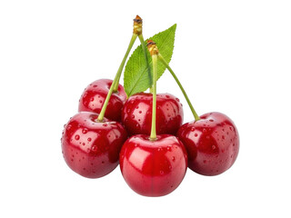 Fresh cluster of red cherries isolated on transparent background