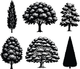 Tree Silhouette Collection Nature Vector Illustration