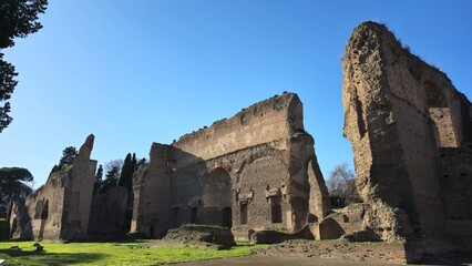 Rome, Italy - 14 January 2025. Eastern interior of the Baths of Caracalla features high brick remnants, arched recesses, and scattered walls set among grass and winter trees.
