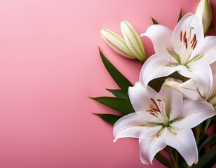 Fototapeta premium bouquet of white lily flowers on a pink background with copy space