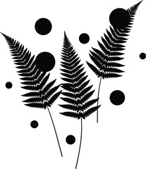 Fern Leaves Botanical Nature Vector Illustration